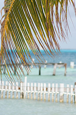 Isla Mujeres, Yucatan, Mexiko. Foto: N. Vondung